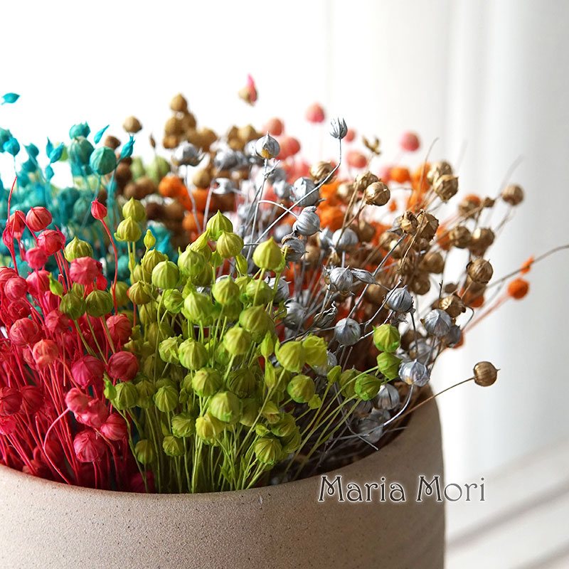 Dried Flower Bulk - 5g Preserved Flax Bean Natural Real