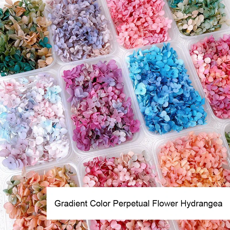 1Box Real Dried Flower Nail De - Dried Flower Bulk review and price