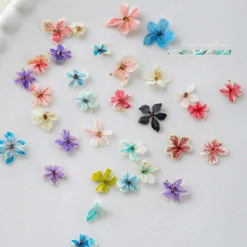1PCS Summer Gradient Floral Na - Dried Flower Bulk review and price
