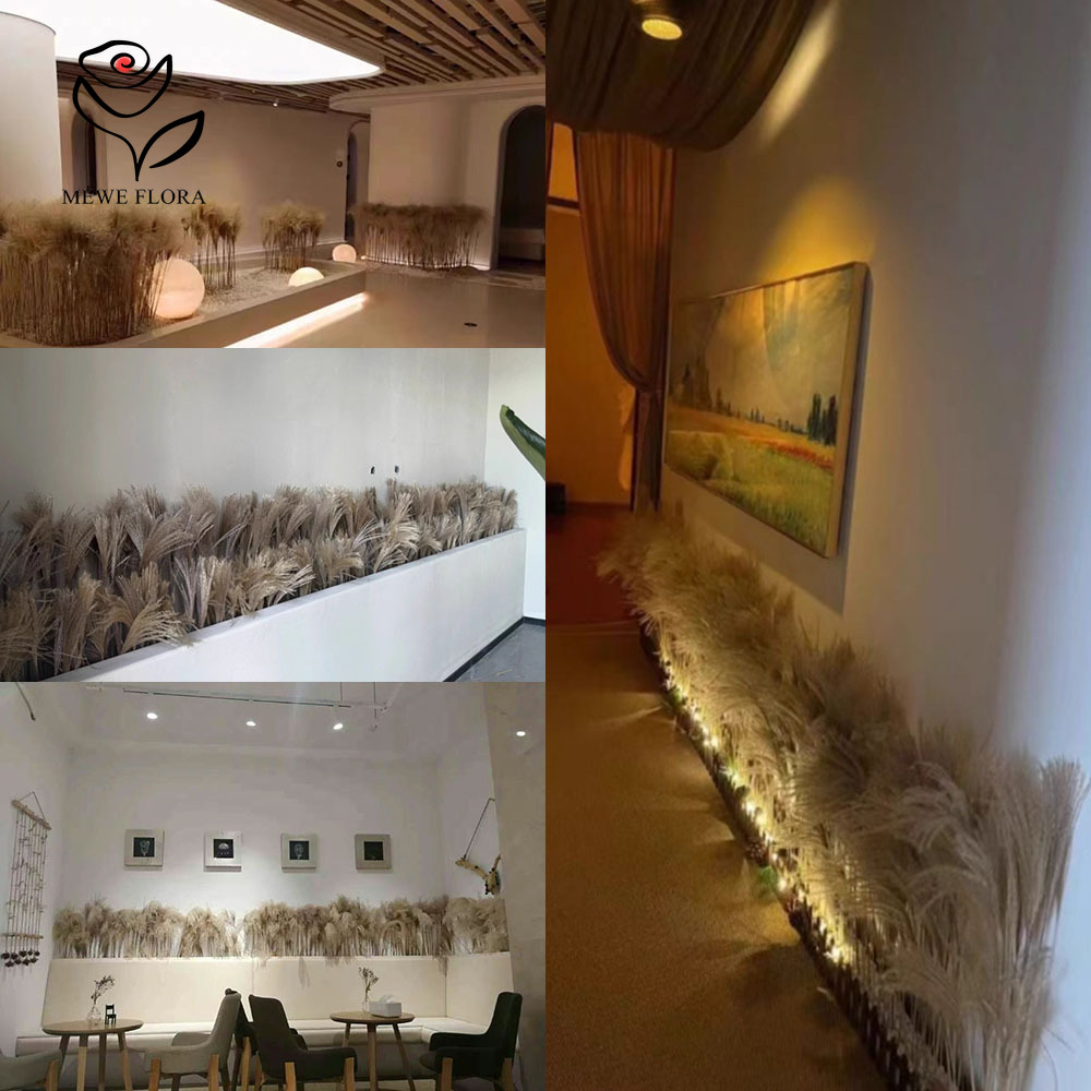 200PCS Natural Dried Fluffy Re - Dried Flower Bulk review and price