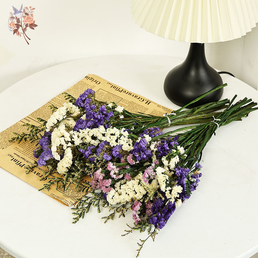 100g Natural Real Forget-me-no - Dried Flower Bulk review and price